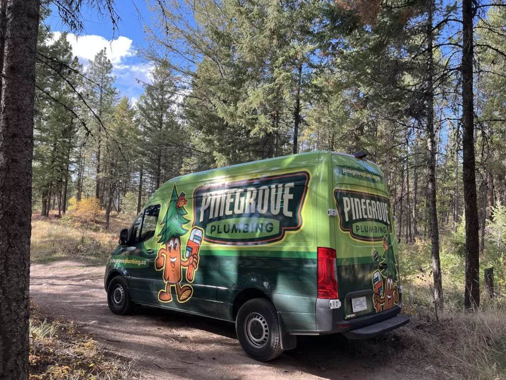 Pinegrove Van parked in a pine forest