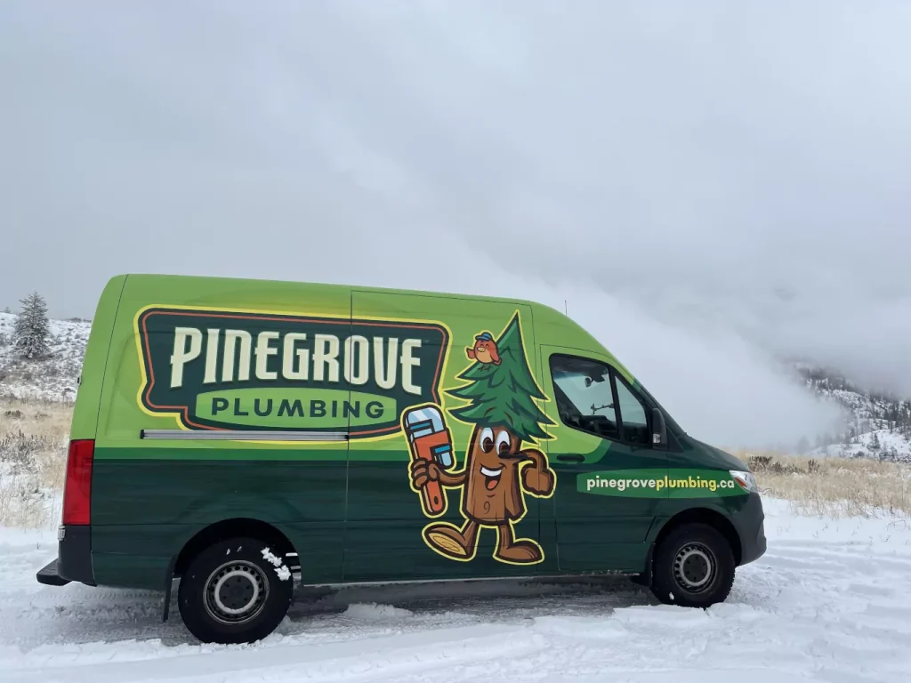 Pinegrove van in a snowy and foggy landscape